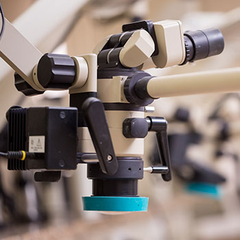 Cherilyn Sheets, DDS, FACP