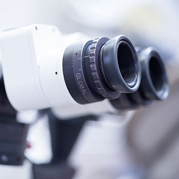 Cherilyn Sheets, DDS, FACP